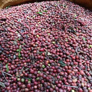 z4282183378421 e5aa9ebbd74c7bcaca5c1c9615f715aa